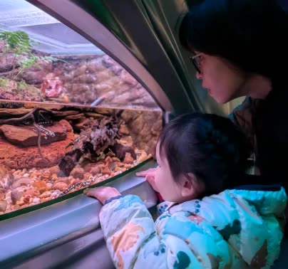 Looking into an aquarium tank at the California Academy of Sciences